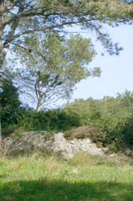 photo de la Tour Fondue (Île des Embiez) width=